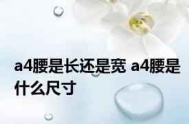 a4腰是长还是宽 a4腰是什么尺寸