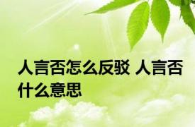 人言否怎么反驳 人言否什么意思