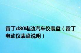 雷丁d80电动汽车仪表盘（雷丁电动仪表盘说明）