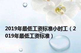 2019年最低工资标准小时工（2019年最低工资标准）