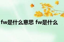 fw是什么意思 fw是什么