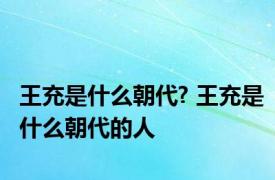 王充是什么朝代? 王充是什么朝代的人