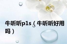 牛听听p1s（牛听听好用吗）