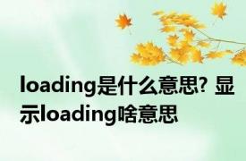 loading是什么意思? 显示loading啥意思