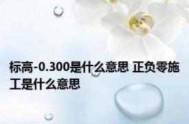 标高-0.300是什么意思 正负零施工是什么意思