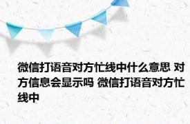 微信打语音对方忙线中什么意思 对方信息会显示吗 微信打语音对方忙线中