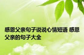 感恩父亲句子说说心情短语 感恩父亲的句子大全