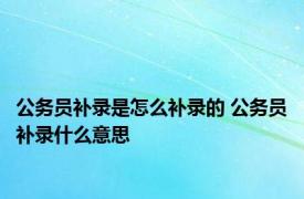 公务员补录是怎么补录的 公务员补录什么意思