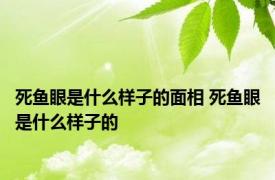 死鱼眼是什么样子的面相 死鱼眼是什么样子的