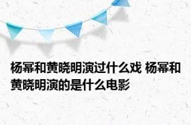 杨幂和黄晓明演过什么戏 杨幂和黄晓明演的是什么电影