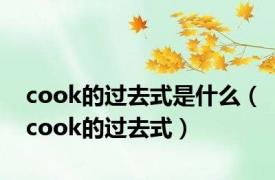 cook的过去式是什么（cook的过去式）