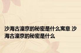 沙海古潼京的秘密是什么寓意 沙海古潼京的秘密是什么