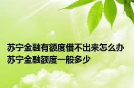 苏宁金融有额度借不出来怎么办 苏宁金融额度一般多少