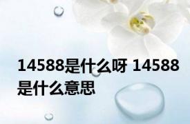 14588是什么呀 14588是什么意思