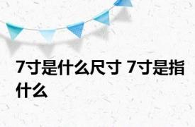 7寸是什么尺寸 7寸是指什么