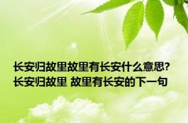 长安归故里故里有长安什么意思? 长安归故里 故里有长安的下一句