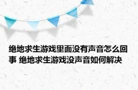 绝地求生游戏里面没有声音怎么回事 绝地求生游戏没声音如何解决