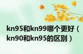 kn95和kn99哪个更好（kn90和kn95的区别）