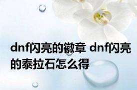 dnf闪亮的徽章 dnf闪亮的泰拉石怎么得