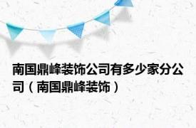 南国鼎峰装饰公司有多少家分公司（南国鼎峰装饰）