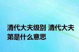 清代大夫级别 清代大夫第是什么意思