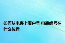 如何从电表上看户号 电表编号在什么位置