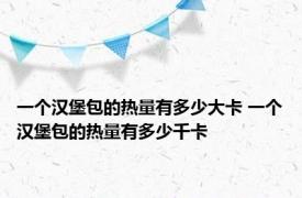 一个汉堡包的热量有多少大卡 一个汉堡包的热量有多少千卡