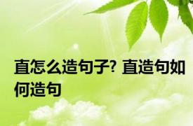 直怎么造句子? 直造句如何造句