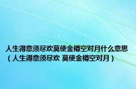 人生得意须尽欢莫使金樽空对月什么意思（人生得意须尽欢 莫使金樽空对月）