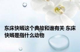 东床快婿这个典故和谁有关 东床快婿是指什么动物