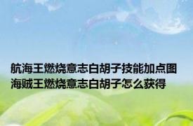 航海王燃烧意志白胡子技能加点图 海贼王燃烧意志白胡子怎么获得