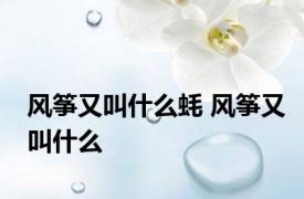 风筝又叫什么蚝 风筝又叫什么