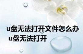 u盘无法打开文件怎么办 u盘无法打开 