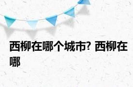 西柳在哪个城市? 西柳在哪 