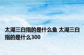 太湖三白指的是什么鱼 太湖三白指的是什么300