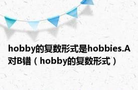 hobby的复数形式是hobbies.A对B错（hobby的复数形式）