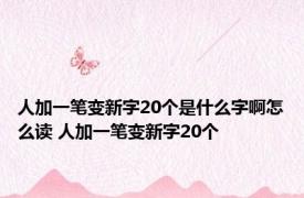 人加一笔变新字20个是什么字啊怎么读 人加一笔变新字20个