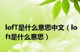 lofT是什么意思中文（loft是什么意思）