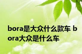 bora是大众什么款车 bora大众是什么车