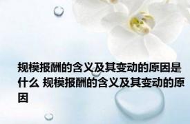 规模报酬的含义及其变动的原因是什么 规模报酬的含义及其变动的原因