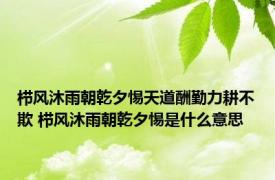 栉风沐雨朝乾夕惕天道酬勤力耕不欺 栉风沐雨朝乾夕惕是什么意思