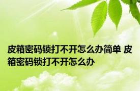 皮箱密码锁打不开怎么办简单 皮箱密码锁打不开怎么办