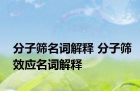 分子筛名词解释 分子筛效应名词解释