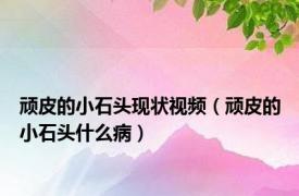 顽皮的小石头现状视频（顽皮的小石头什么病）