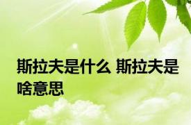 斯拉夫是什么 斯拉夫是啥意思