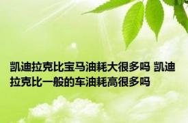 凯迪拉克比宝马油耗大很多吗 凯迪拉克比一般的车油耗高很多吗