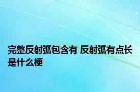 完整反射弧包含有 反射弧有点长是什么梗