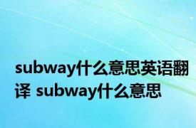 subway什么意思英语翻译 subway什么意思