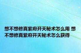 想不想修真紫府开天秘术怎么用 想不想修真紫府开天秘术怎么获得