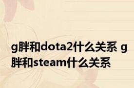 g胖和dota2什么关系 g胖和steam什么关系